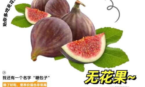 黄花鱼的功效与作用及禁忌-黄栢的作用与功效、黄玉的功效与作用佩戴禁忌 -黄蟮的功效与作用禁忌网
