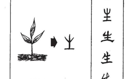 黄玉的功效与作用佩戴禁忌-黄栢的作用与功效、黄玉的功效与作用佩戴禁忌 -黄蟮的功效与作用禁忌网